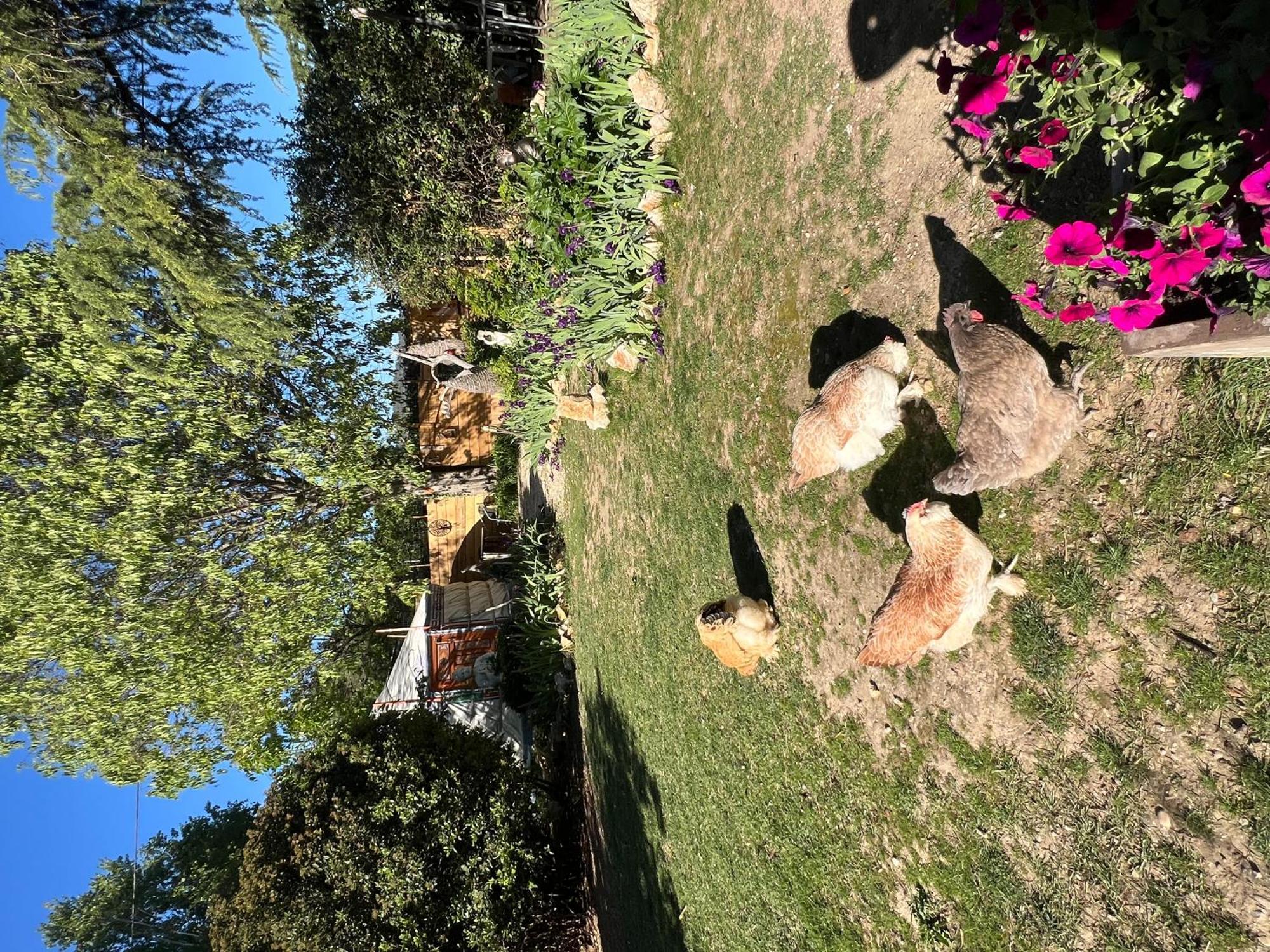 Bastide Du Bonheur Saint Donat Frühstückspension *