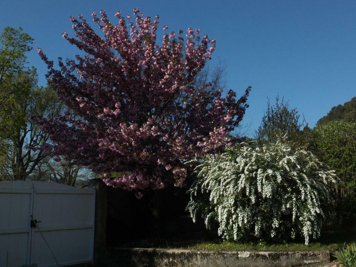 Bastide Du Bonheur Saint Donat Frühstückspension